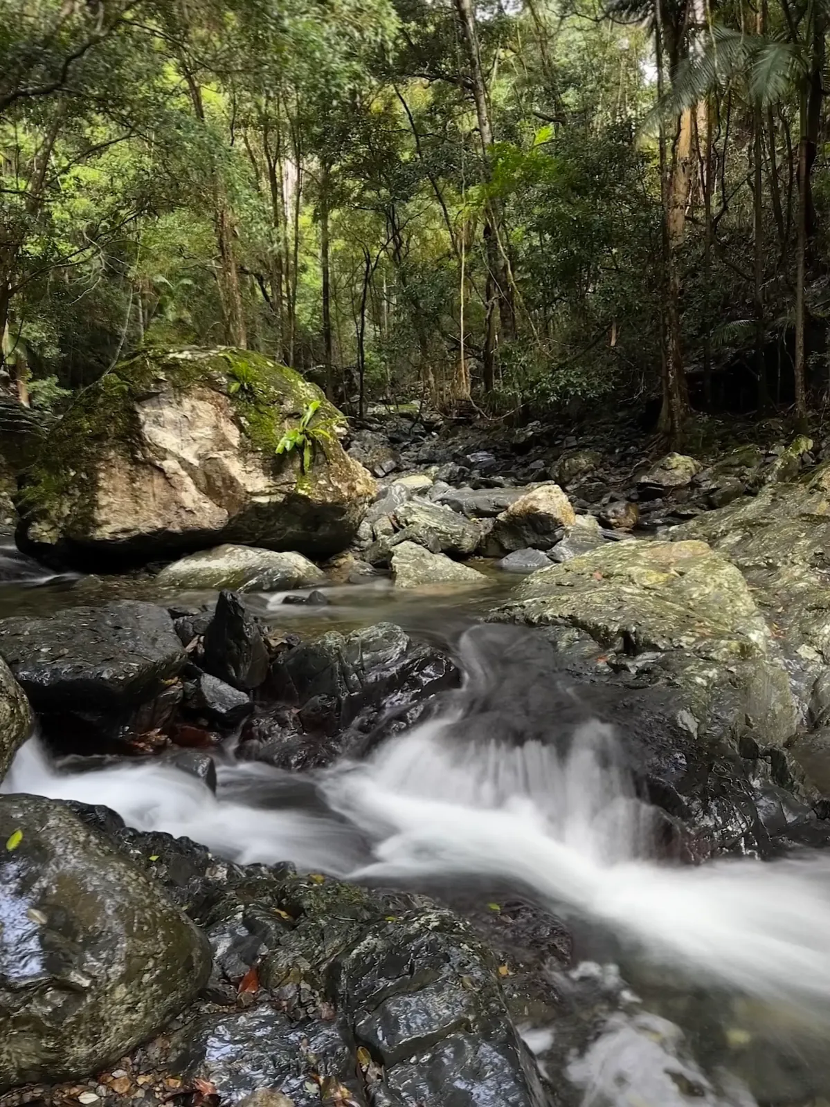 Rainforest creek and rock pools in the Coffs Harbour hinterland